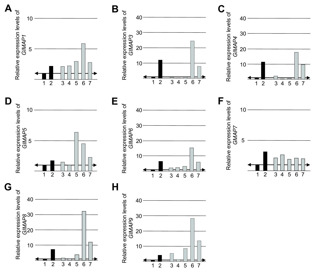 Figure 6