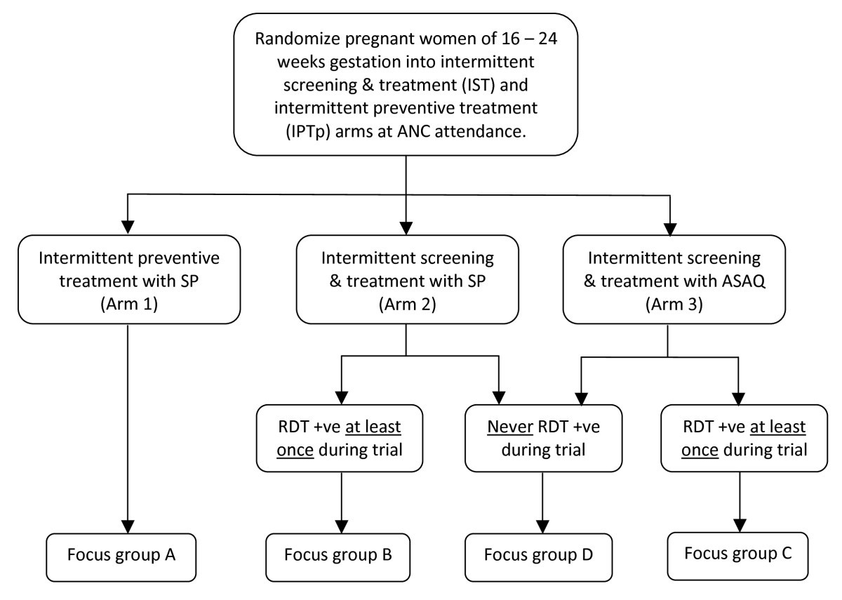 Intermittent screening and treatment versus intermittent preventive treatment of malaria in