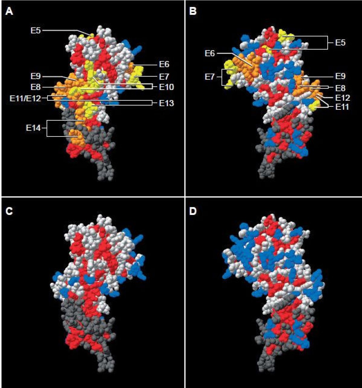 Figure 5