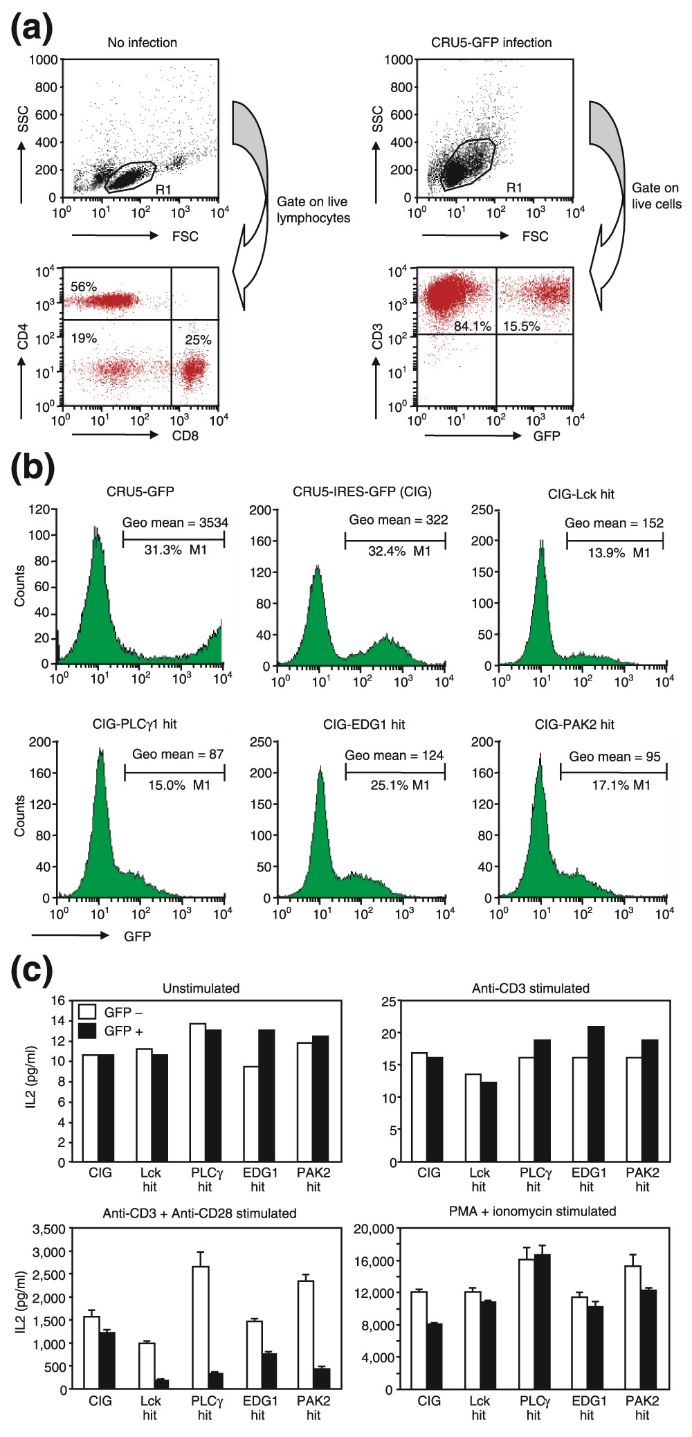 Figure 6