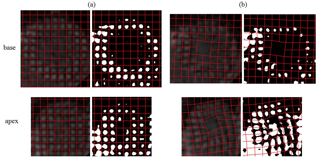 Figure 4