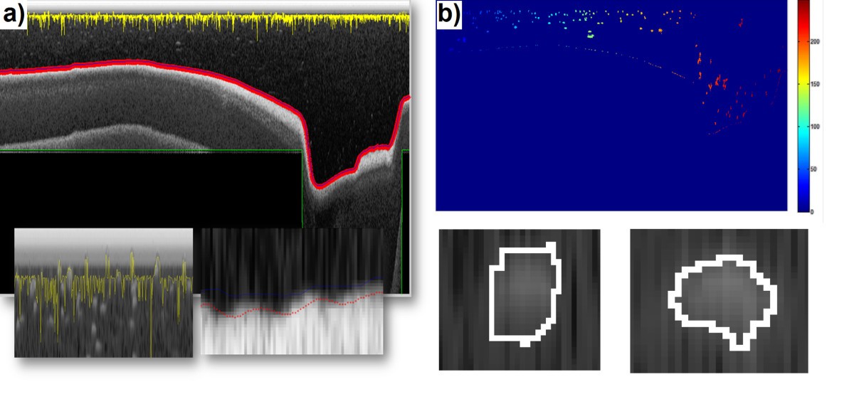 Figure 10