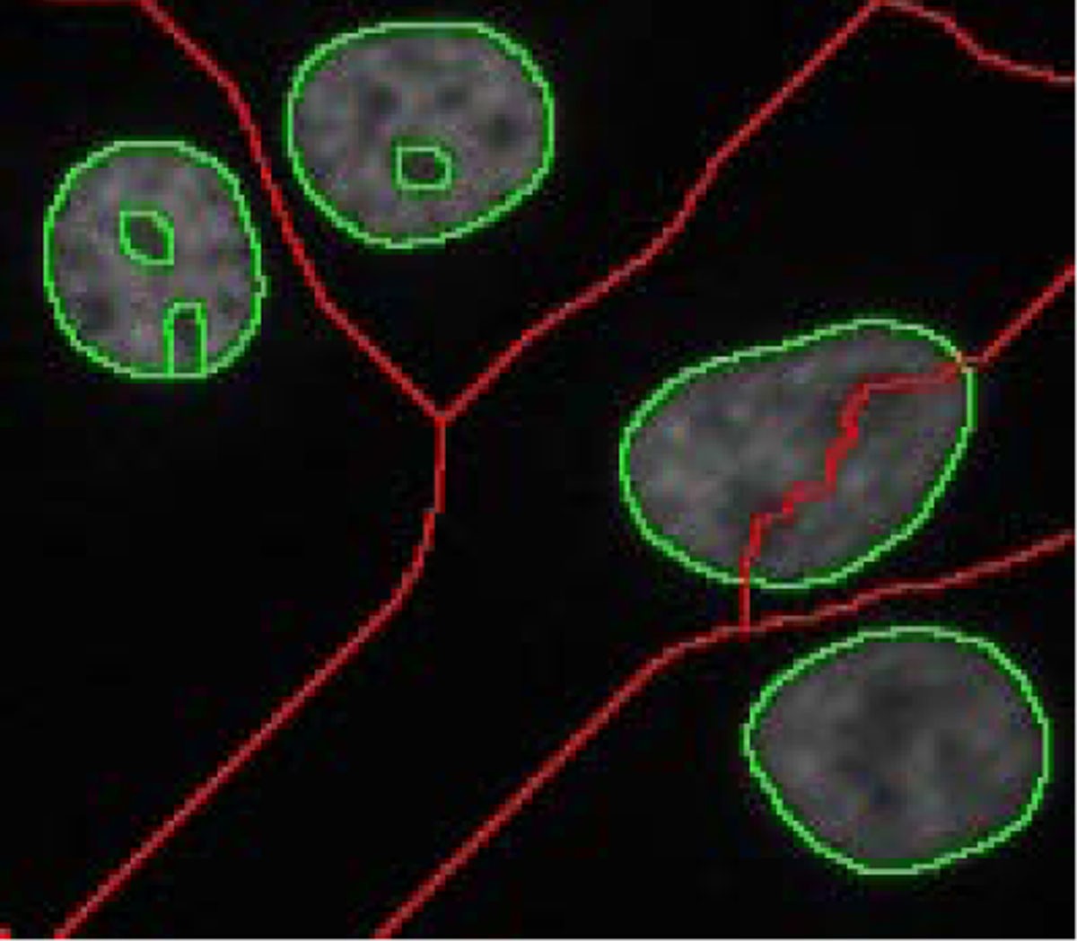 Figure 12