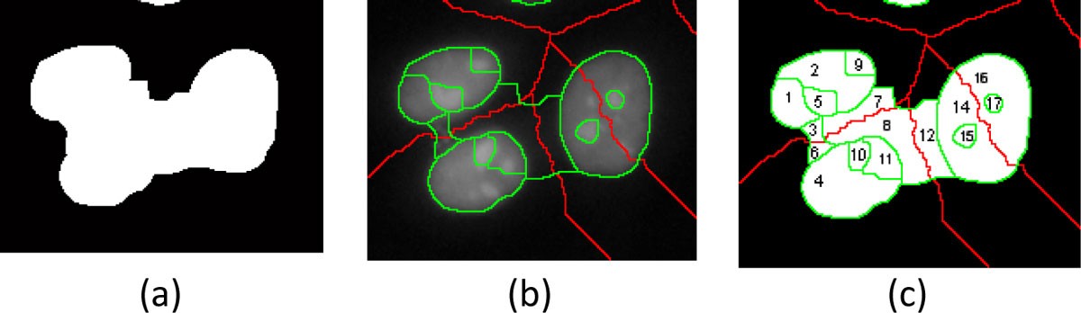 Figure 14