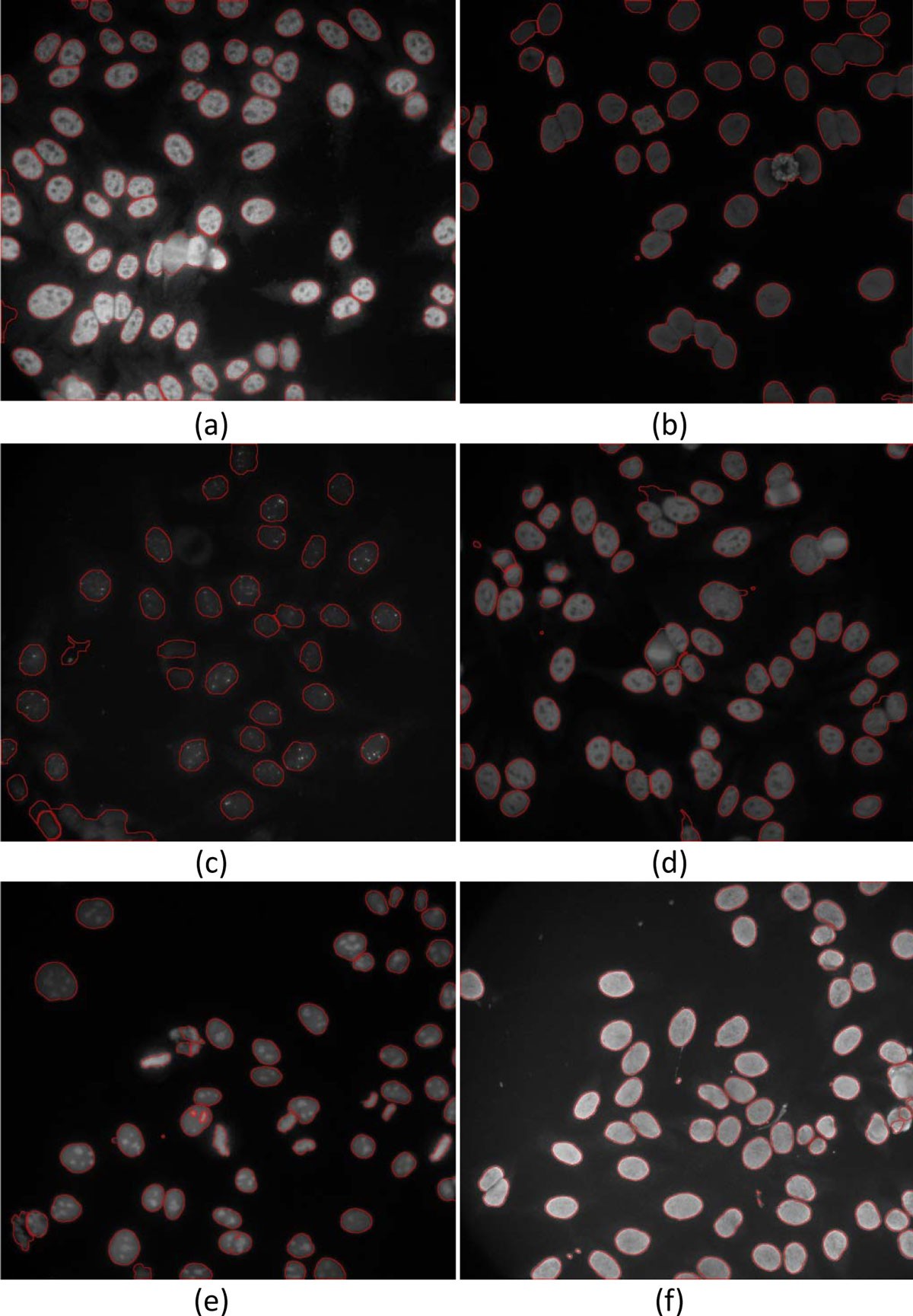 Figure 16