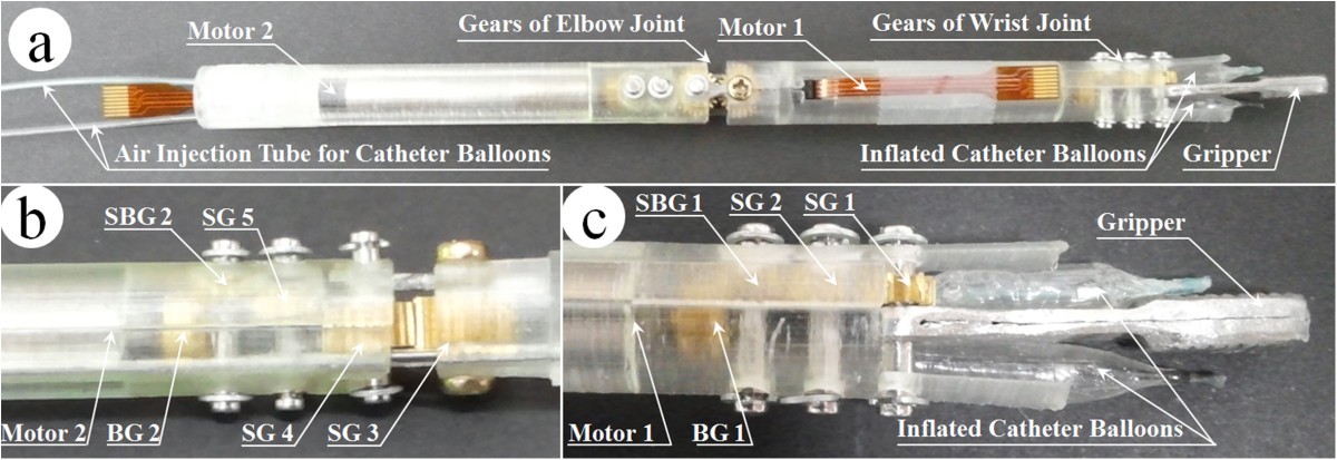 Figure 5