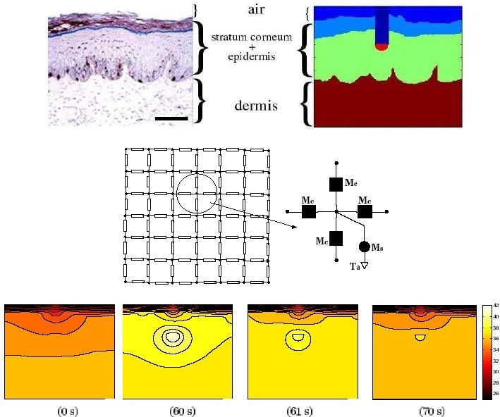 Figure 9