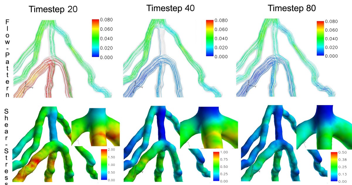 Figure 7