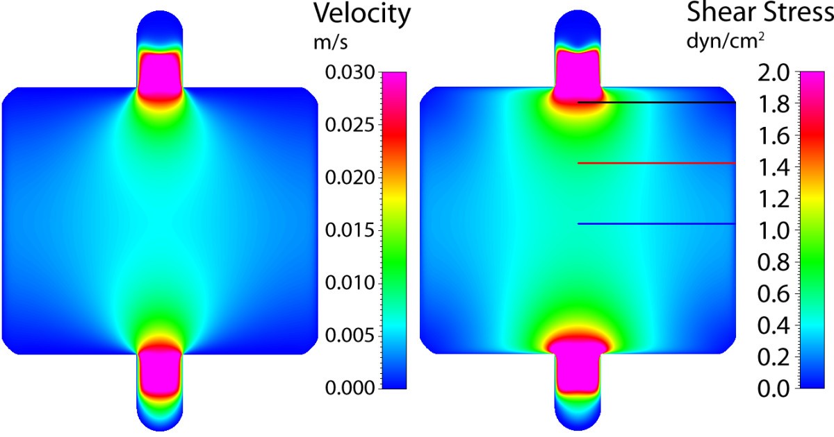 Figure 13