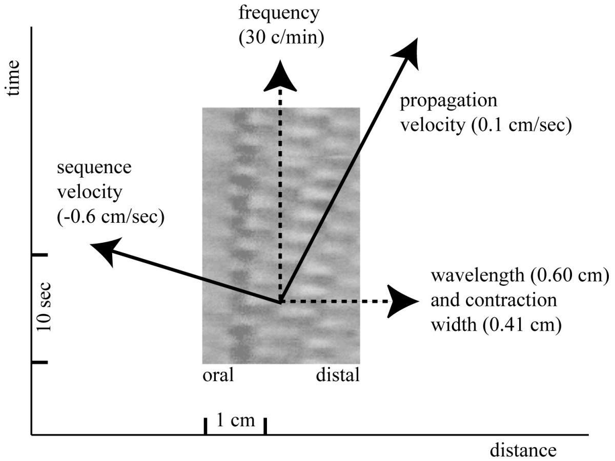 Figure 7