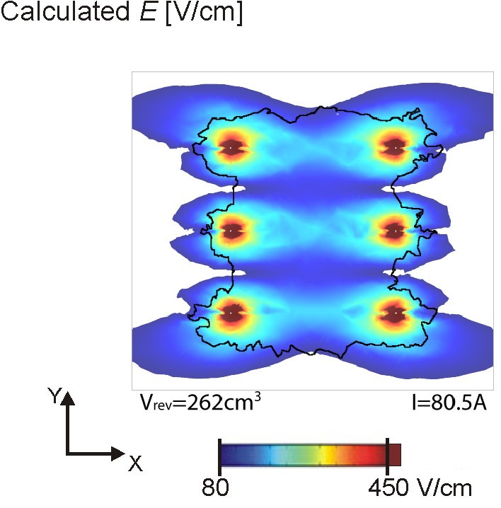 Figure 10