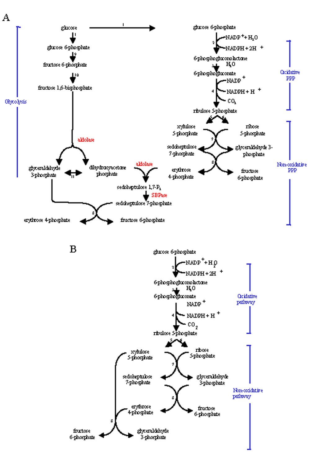 Figure 7