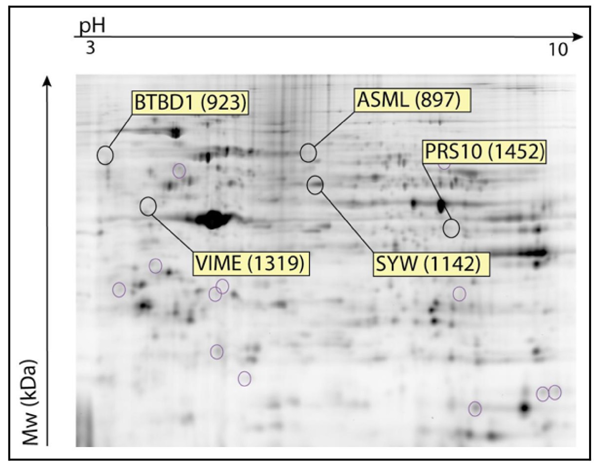 Figure 10