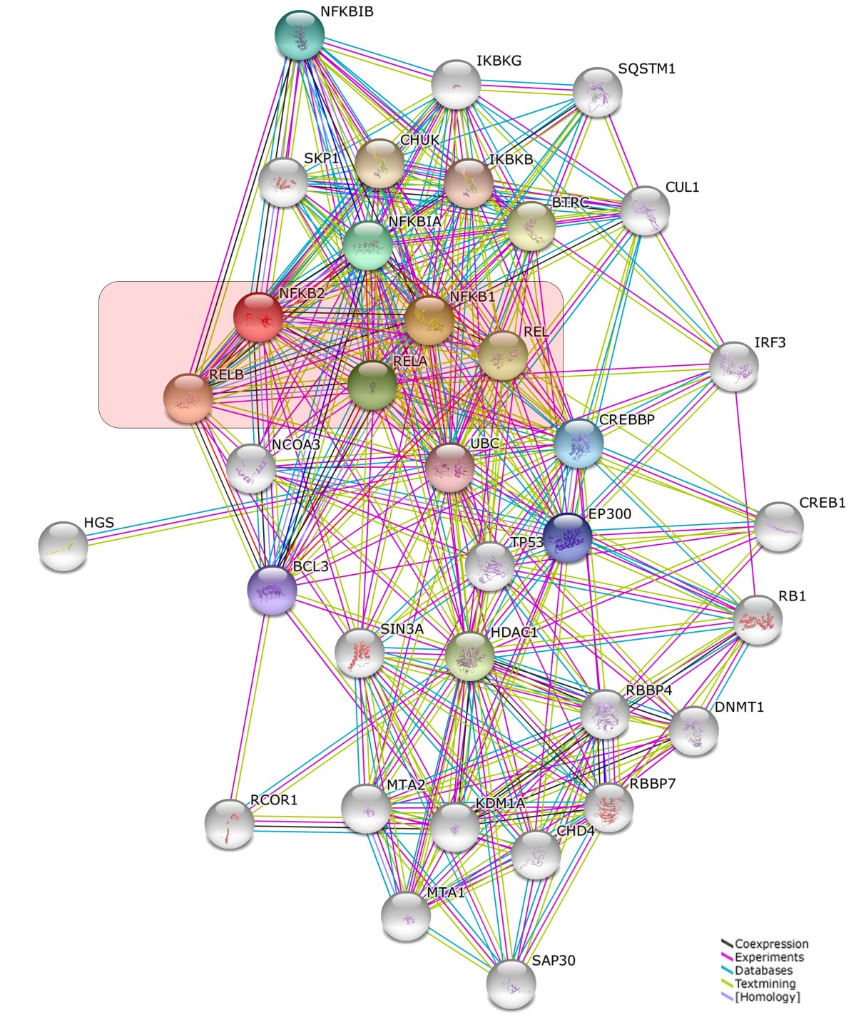 Figure 4