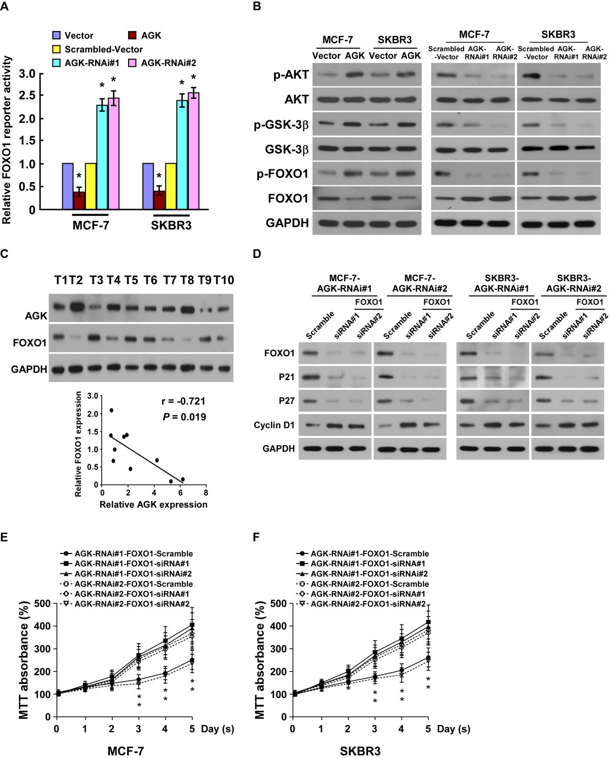 (PDF) Activation of angiotensin II type I receptor 