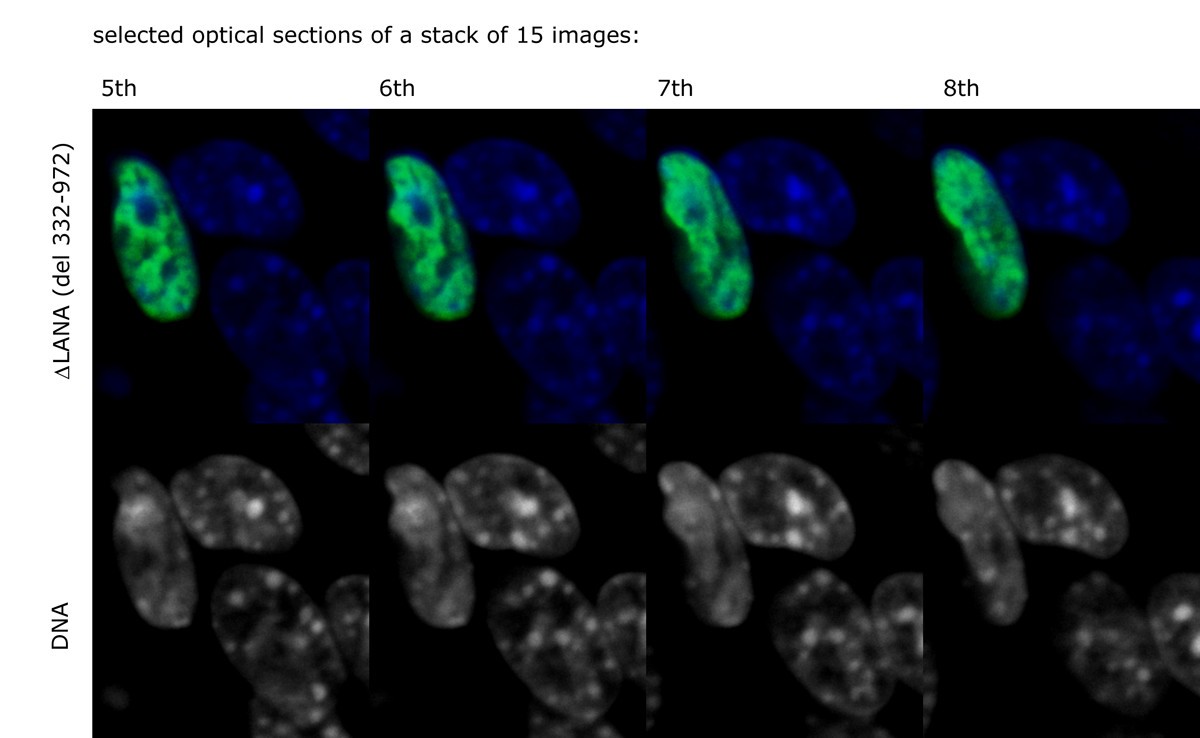 Figure 14