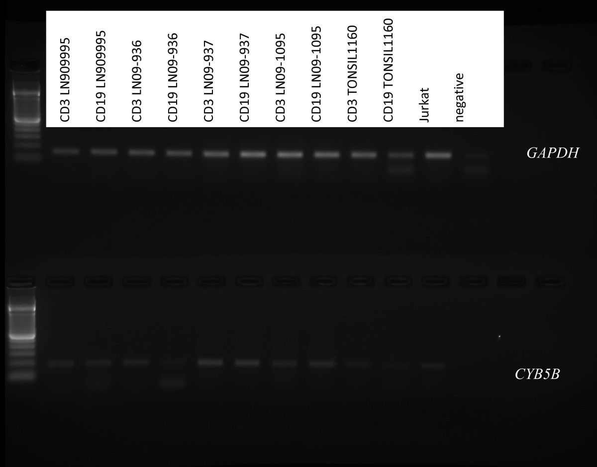 Figure 18