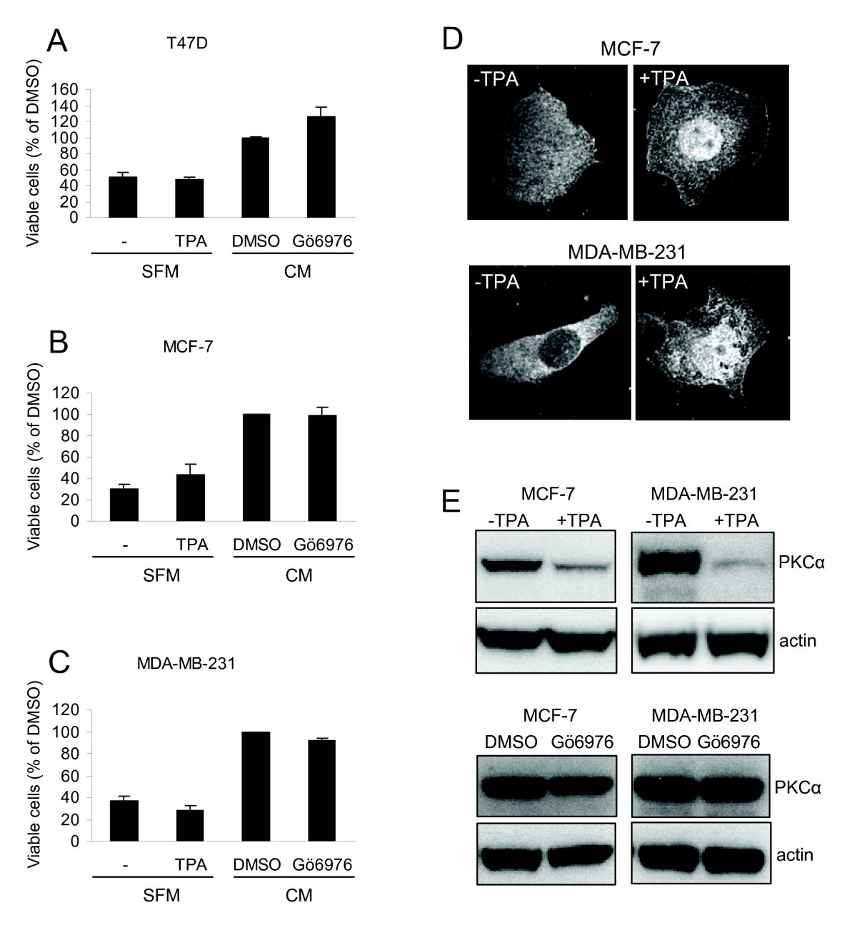 PKCα expression is a marker for breast cancer aggressiveness | Molecular  Cancer | Full Text