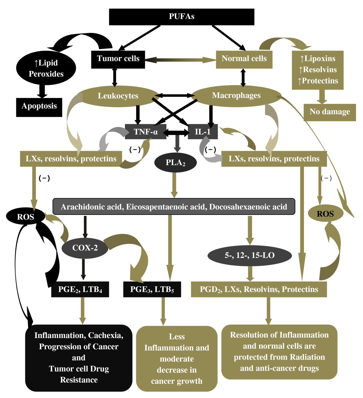 Figure 32