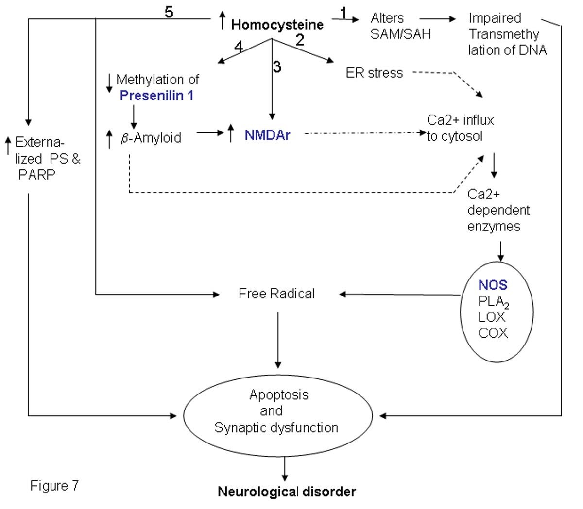 Figure 7