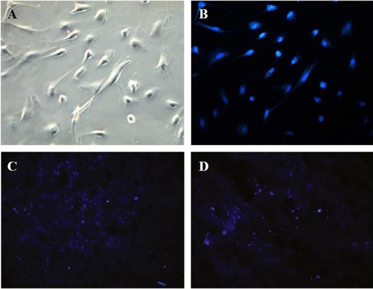 Figure 12