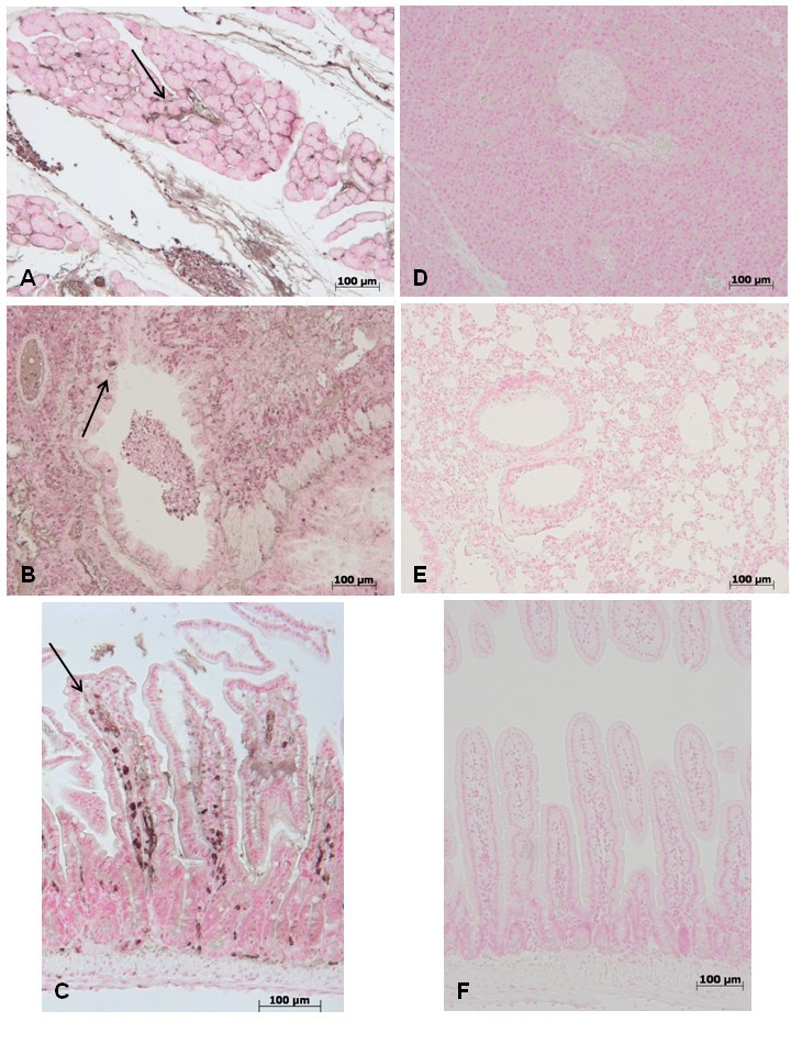 Figure 13