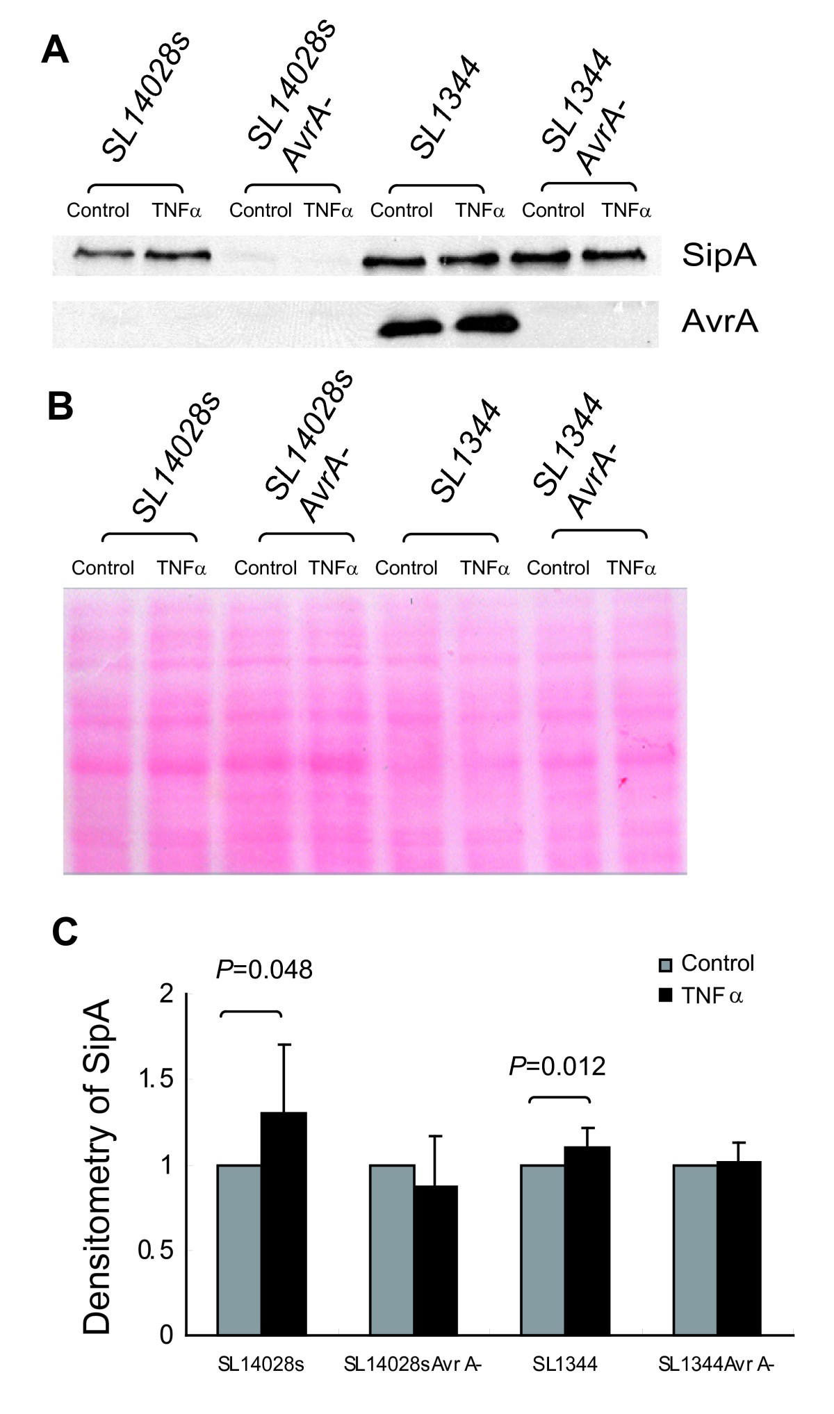 The inflammatory cytokine tumor necrosis factor modulates the expression of  Salmonella typhimurium effector proteins | Journal of Inflammation | Full  Text