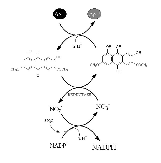 Figure 9