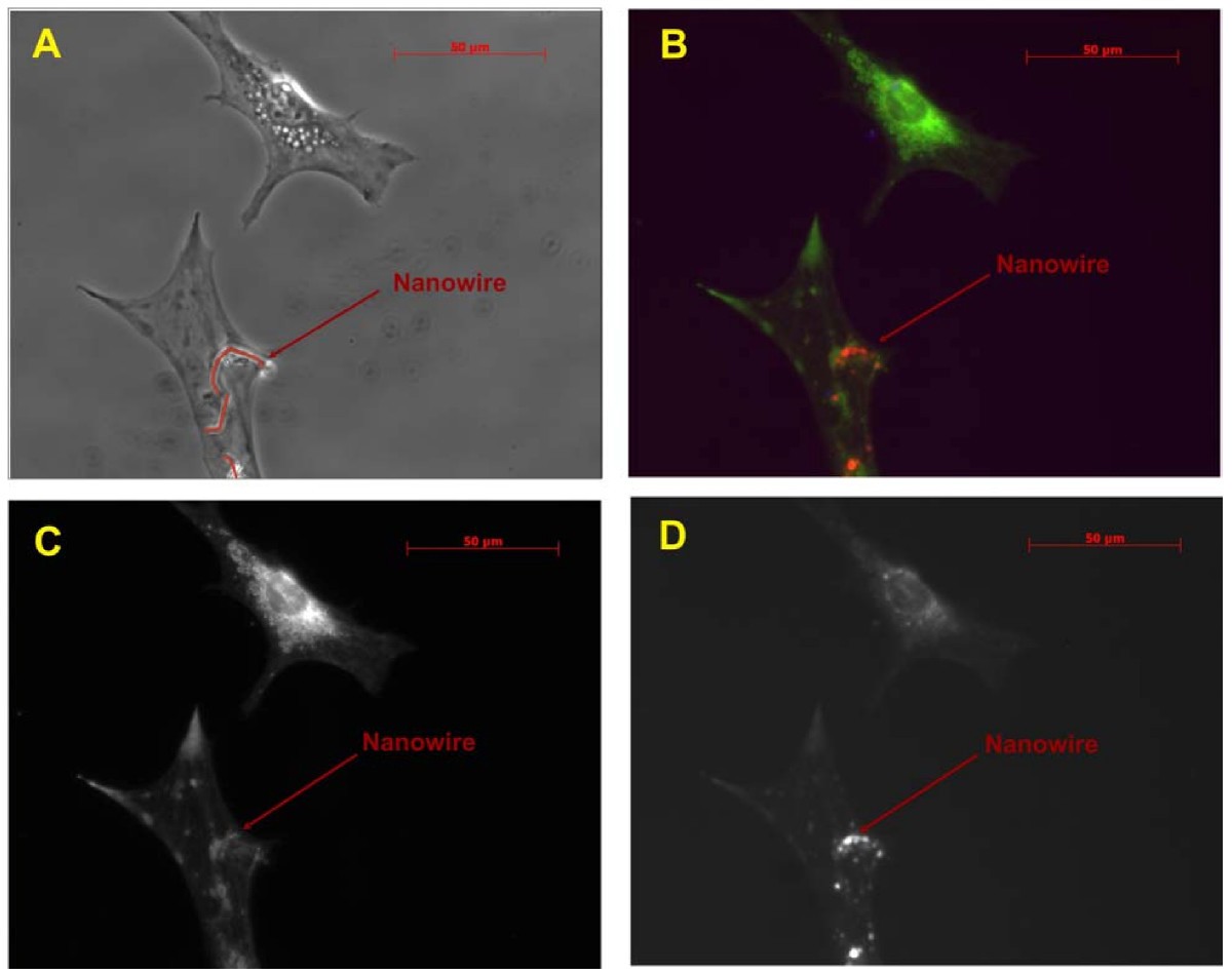 Figure 6