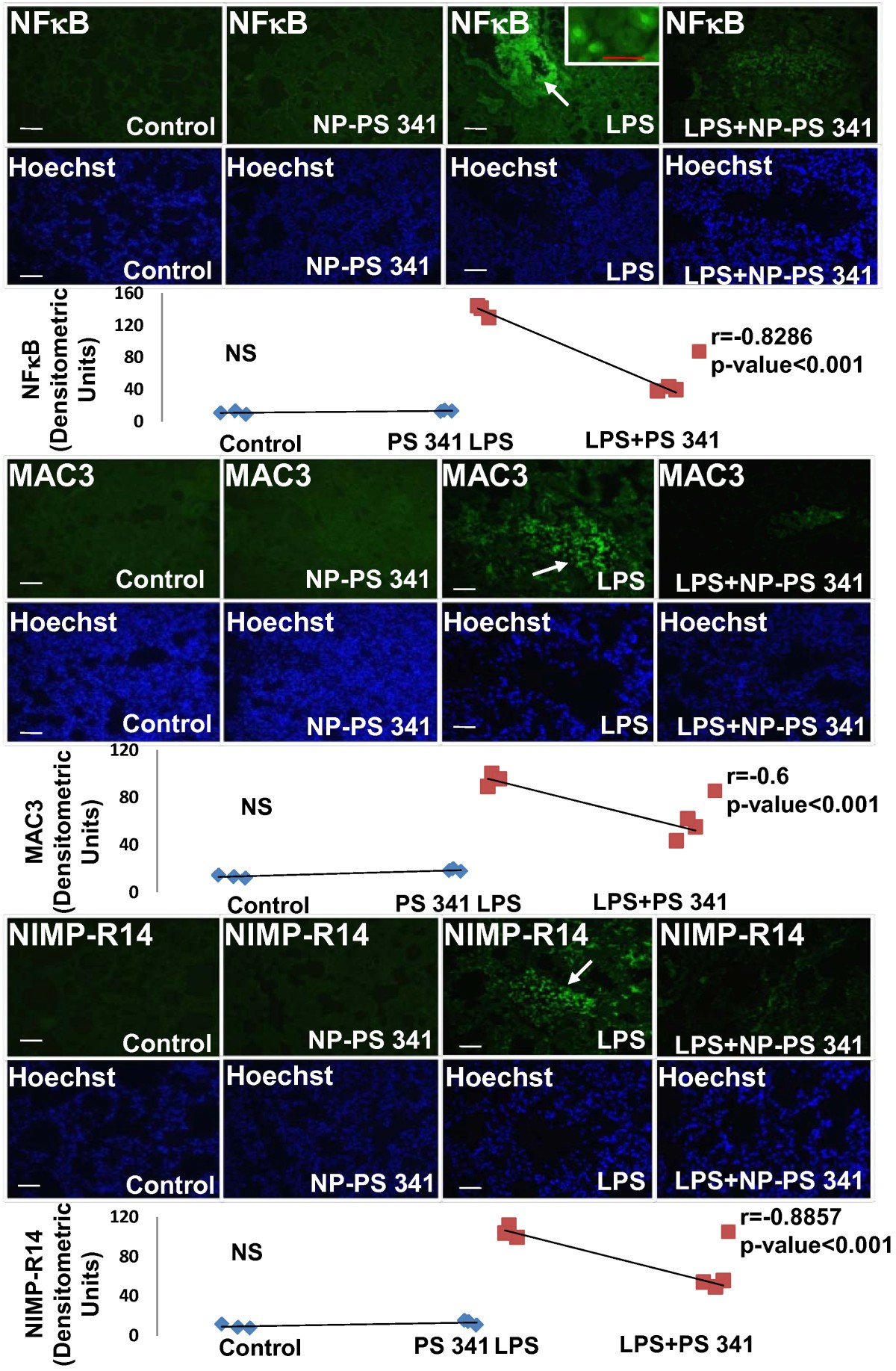 Figure 11