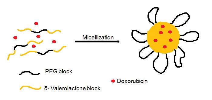 Figure 14