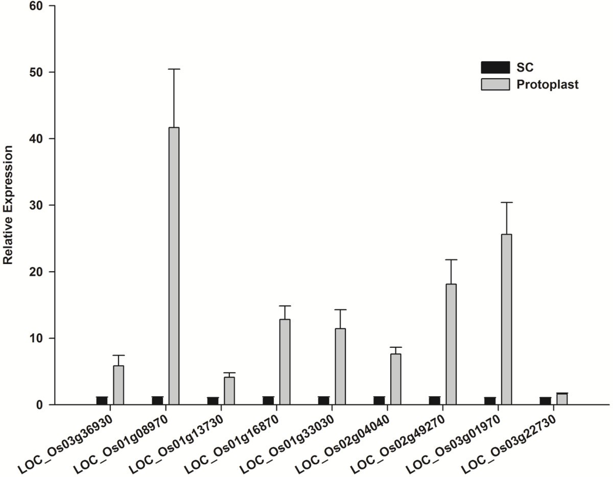 Figure 5