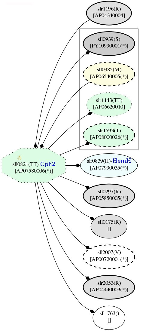 Figure 13