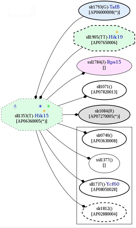 Figure 19