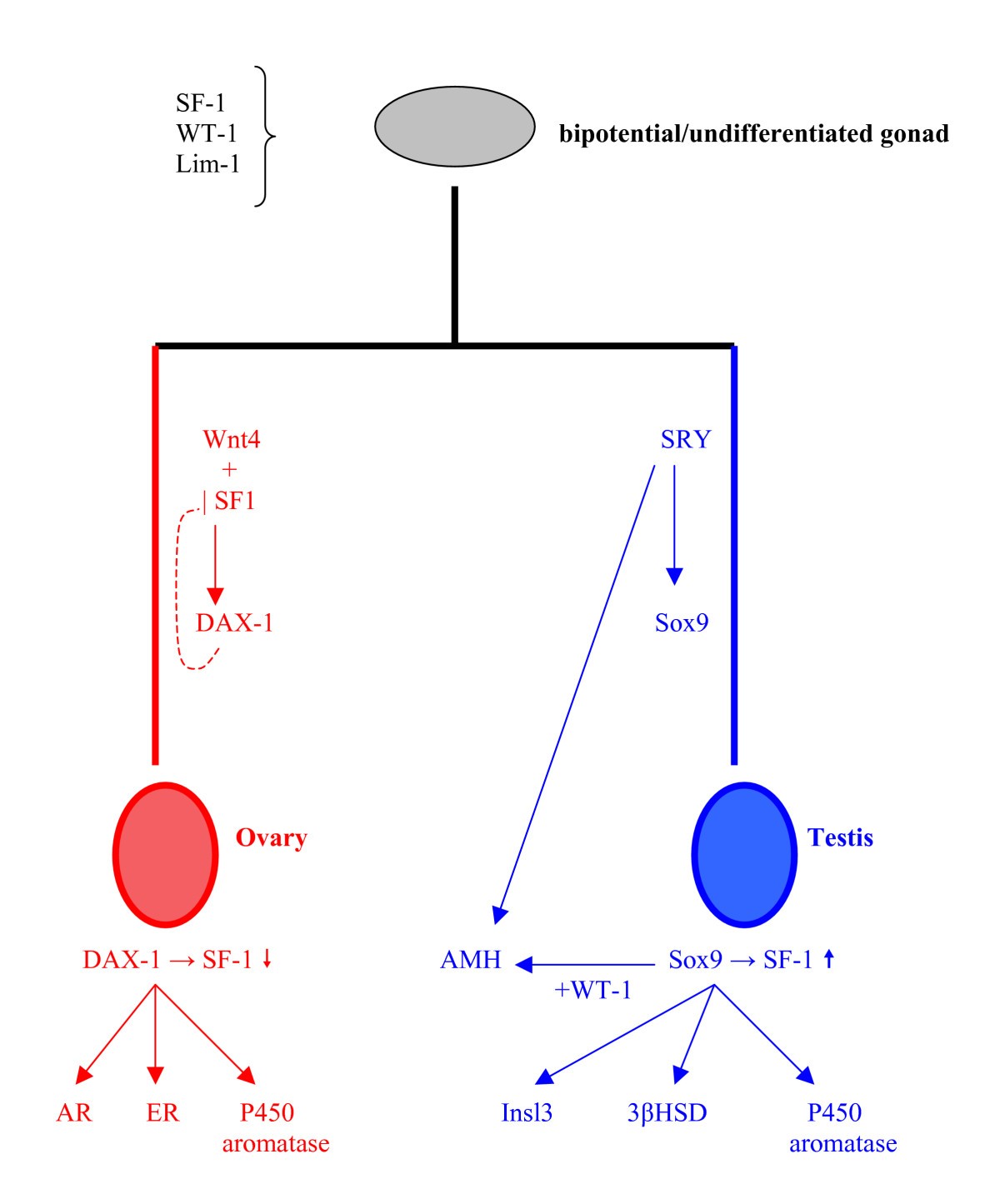 Figure 16