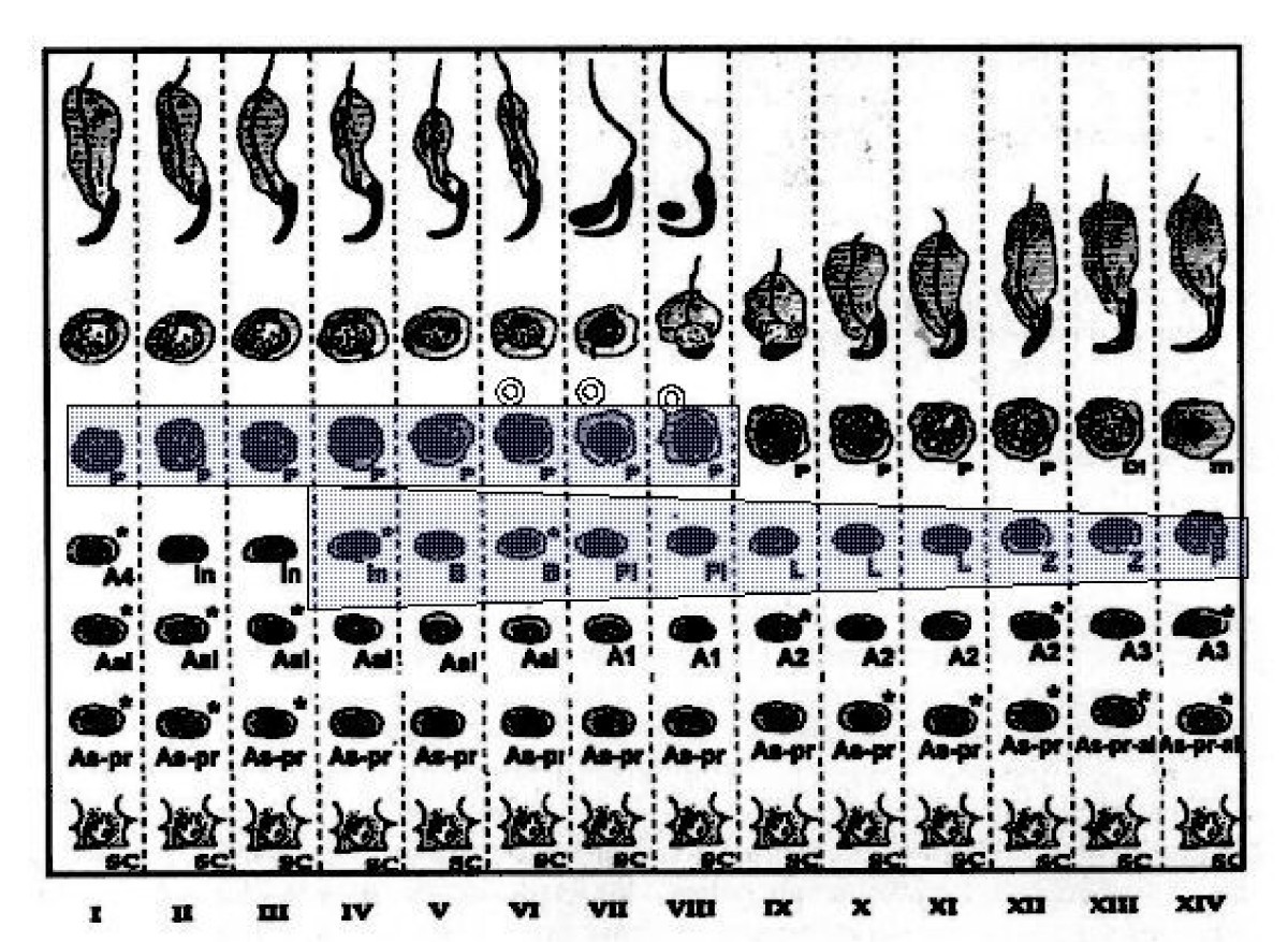 Figure 15