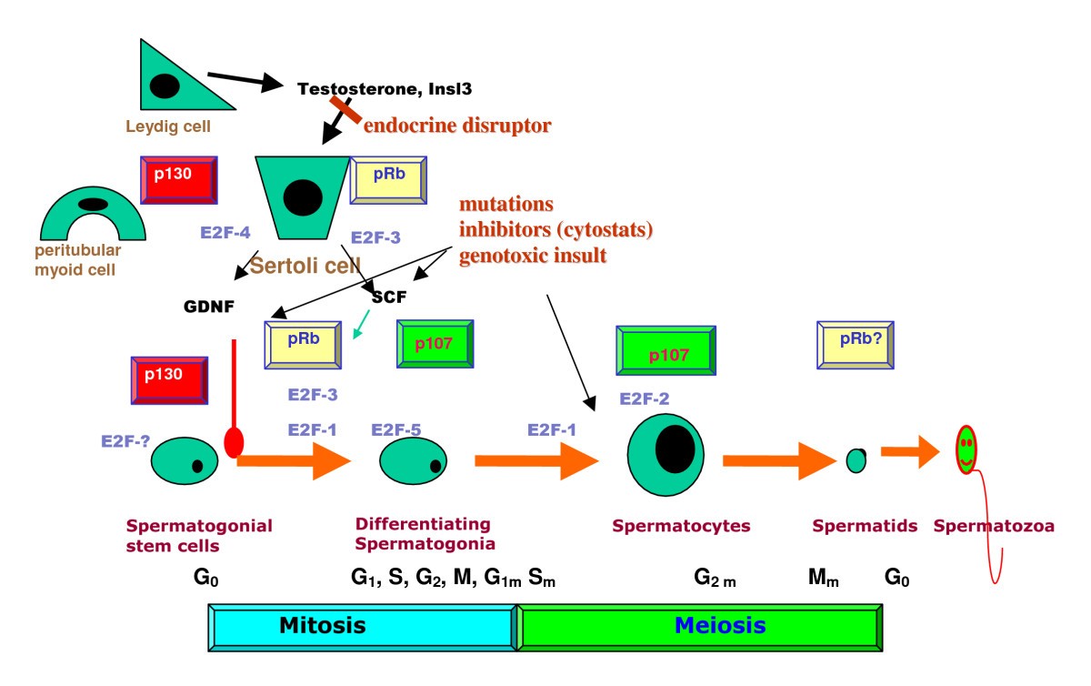 Figure 18