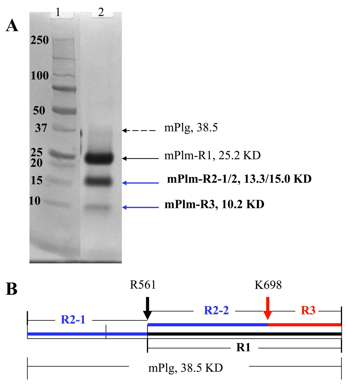 Figure 1