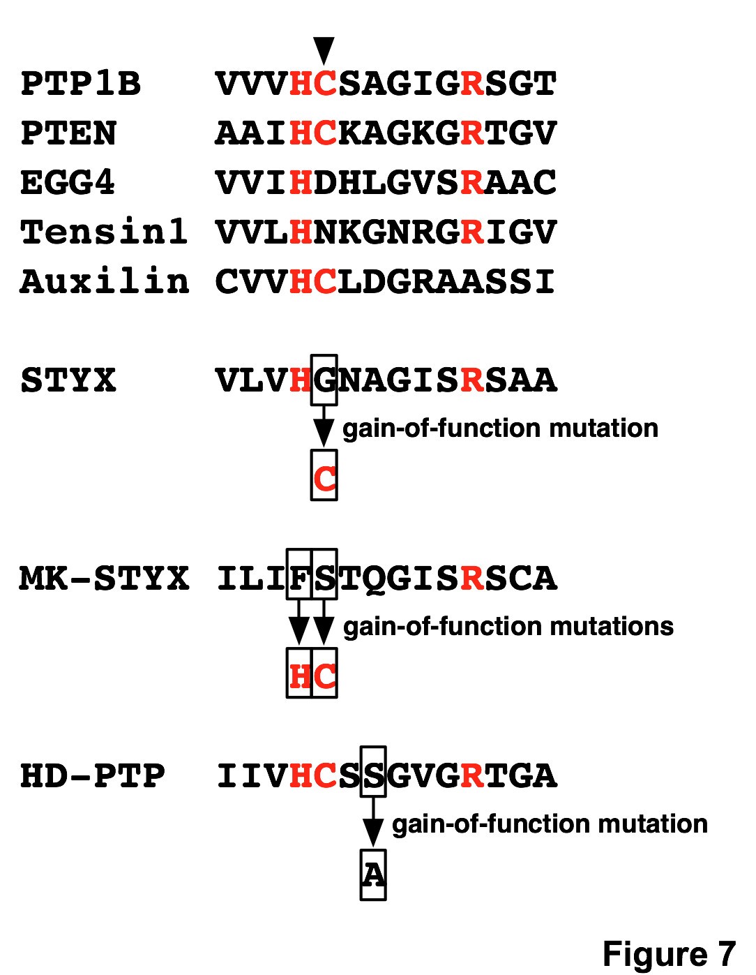 Figure 7