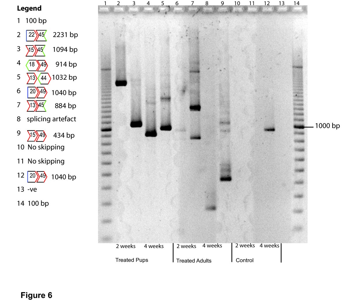 Figure 6