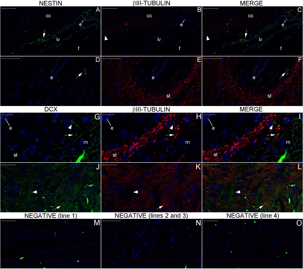 Figure 25