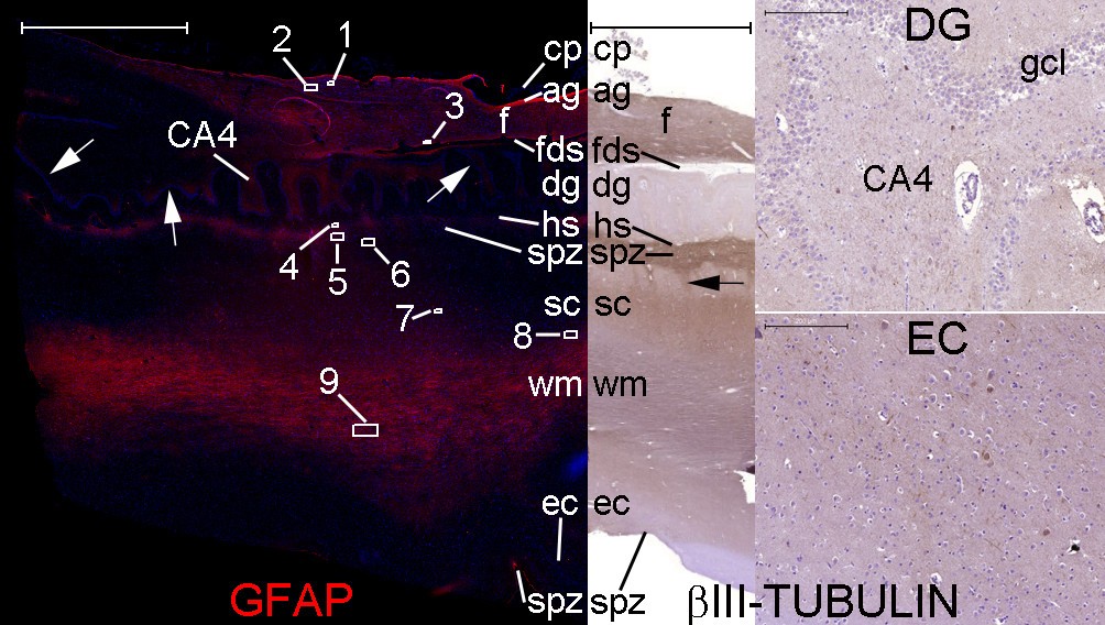 Figure 26