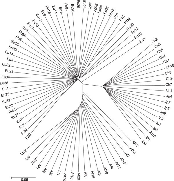 Figure 3A