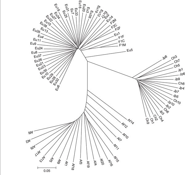 Figure 3B