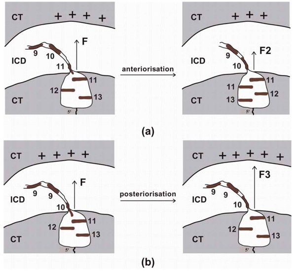 Figure 2S