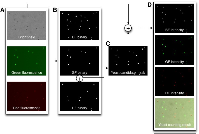 Figure 2