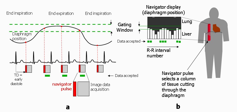 Figure 31