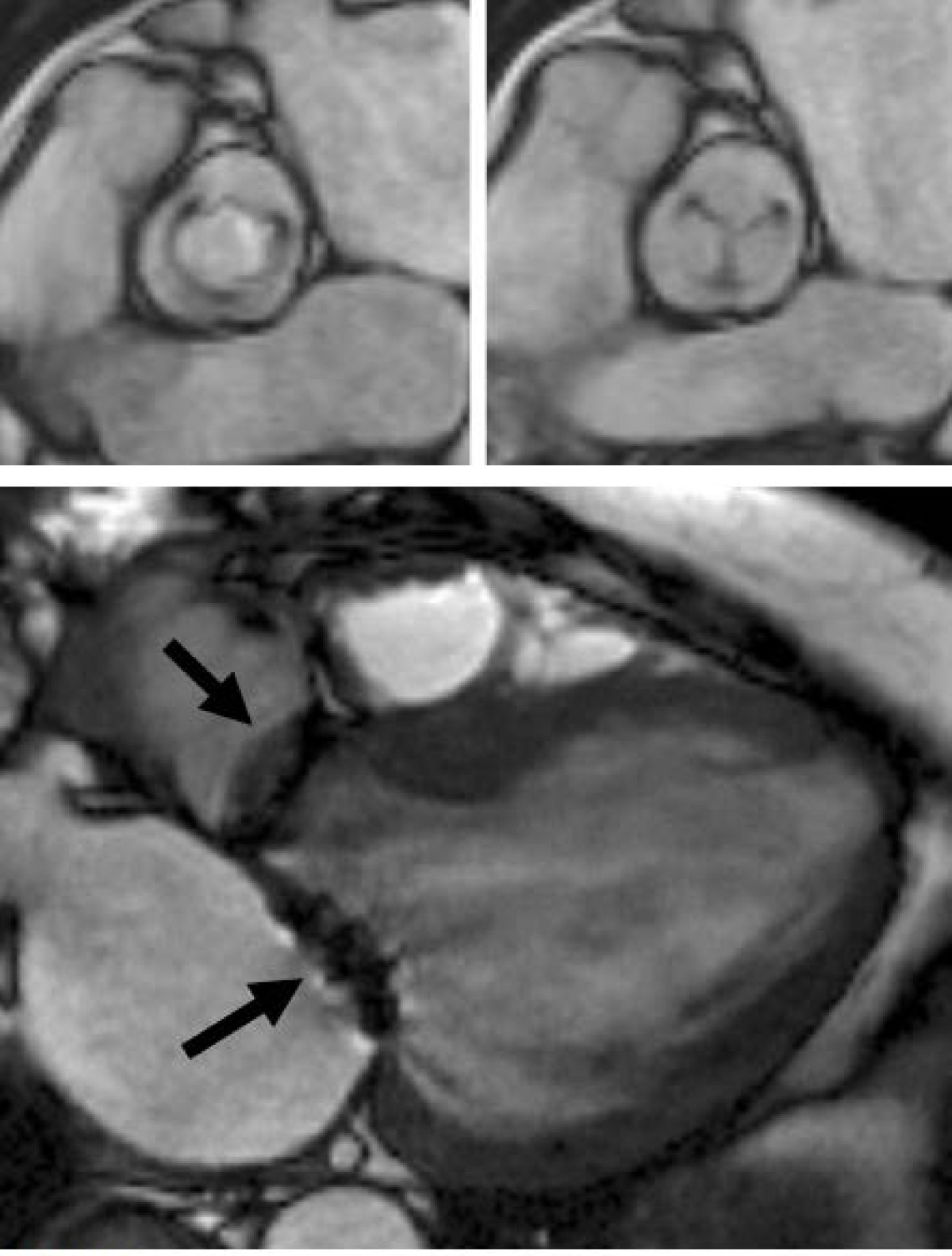 Figure 16