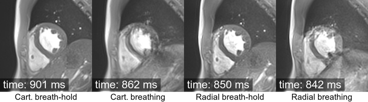 Figure 49