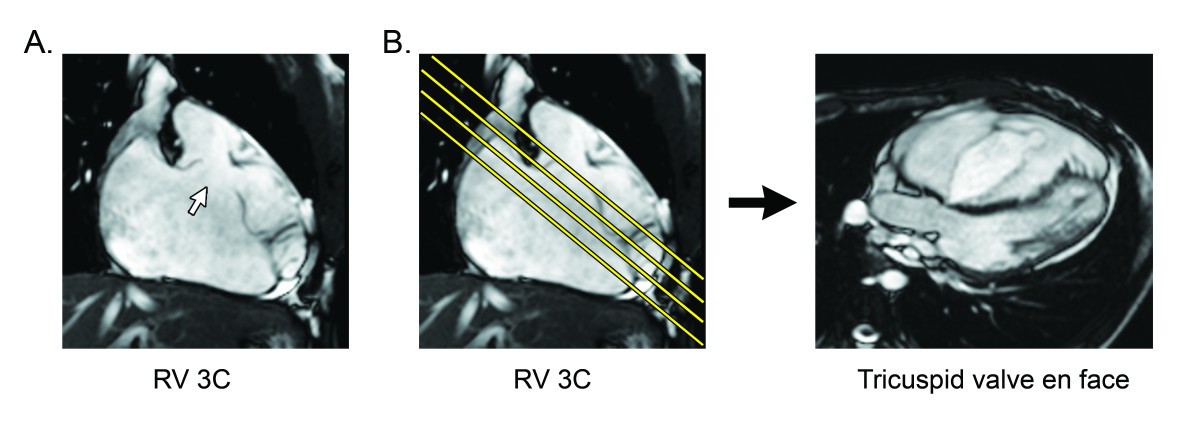 Figure 19